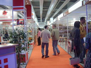 会展服务 连接、展示与价值的桥梁