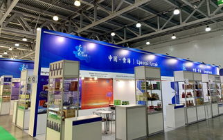 会展服务迈出国门，闪耀莫斯科